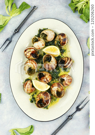 Baked snails with butter. Baked snails with butter. 120206260