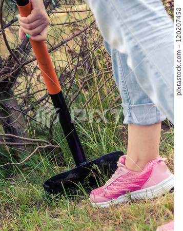 Woman digging hole in garden 120207458