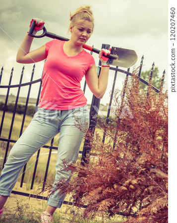 Woman digging hole in garden 120207460