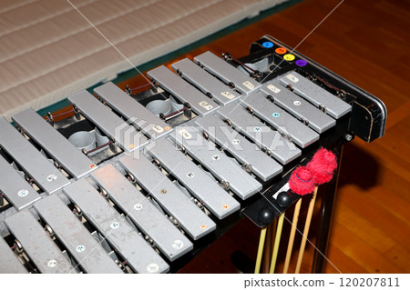 鐘琴, 打擊樂器, 學校, 表演, 音樂, 樂器, 音樂會, 獨奏會, 拍手, 手, 聲音, 音色, 聲學 120207811