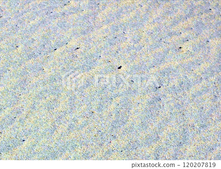 Quiet white sand beach 120207819