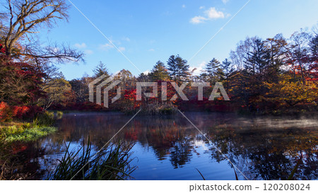 Kumoba Pond, a famous spot for viewing autumn leaves in Karuizawa Town, Kitasaku District, Nagano Prefecture 120208024