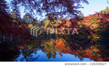 長野縣北作郡輕井澤町的紅葉名勝雲場池 長野縣北作郡輕井澤町的紅葉名勝雲場池 120208027