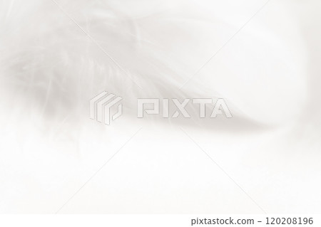 Feathers and fluffy background material 120208196