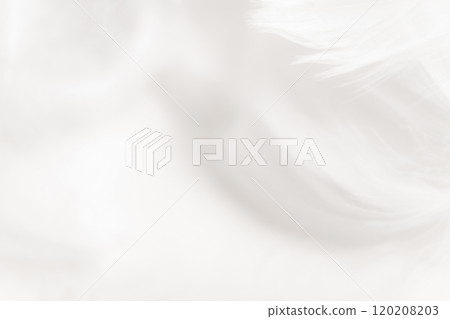 Feathers and fluffy background material 120208203