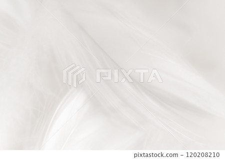 羽毛/蓬鬆背景材料 羽毛/蓬鬆背景材料 120208210