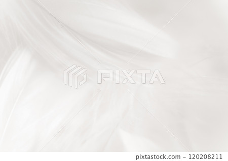 羽毛/蓬鬆背景材料 120208211