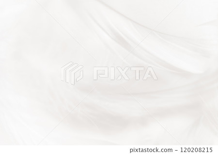 Feathers and fluffy background material Feathers and fluffy background material 120208215