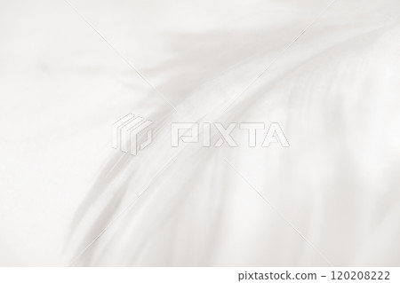 Feathers and fluffy background material 120208222