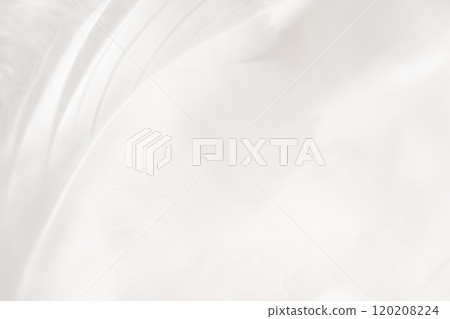 羽毛/蓬鬆背景材料 羽毛/蓬鬆背景材料 120208224