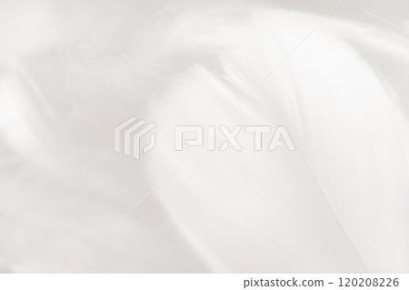 羽毛/蓬鬆背景材料 120208226