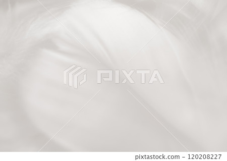 Feathers and fluffy background material 120208227