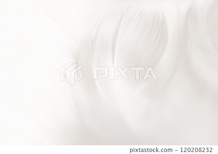Feathers and fluffy background material Feathers and fluffy background material 120208232