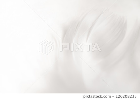 Feathers and fluffy background material Feathers and fluffy background material 120208233