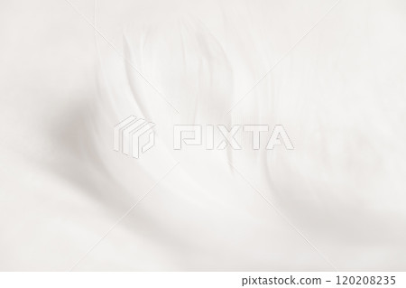 Feathers and fluffy background material Feathers and fluffy background material 120208235