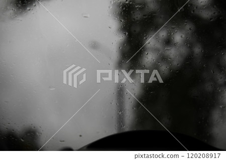 Lively closeup of falling autumn leaves with vibrant backlight from the setting sun Lively closeup of falling autumn leaves with vibrant backlight from the setting sun 120208917