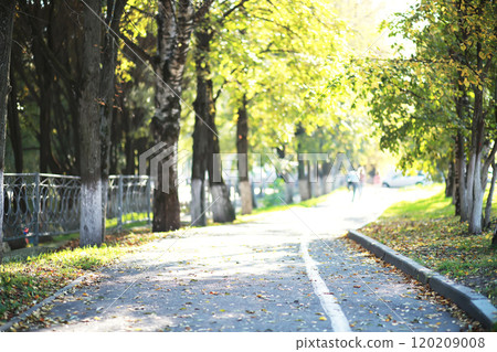 city park without people on an autumn day, bright rays of the sun shine through the crowns of maple trees city park without people on an autumn day, bright rays of the sun shine through the crowns of maple trees 120209008