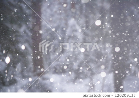 Blurred snow background. Winter landscape. Trees and plants covered with snow. 120209135