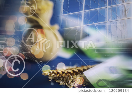 World grain crisis. Double exposure. A handful of cereals and euro banknotes on a blue background. World grain crisis. Double exposure. A handful of cereals and euro banknotes on a blue background. 120209184