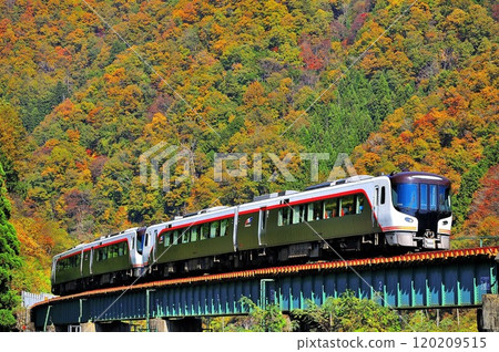HC85 diesel express train Hida running through autumn leaves① 120209515