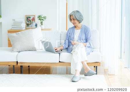 Senior woman operating a computer in the living room 120209920