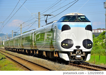 Panda wrapping, 287 series express Kuroshio running on the Kisei Main Line in summer② 120209959