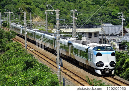 Panda wrapping, 287 series express Kuroshio running on the Kisei Main Line in summer③ Panda wrapping, 287 series express Kuroshio running on the Kisei Main Line in summer③ 120209960