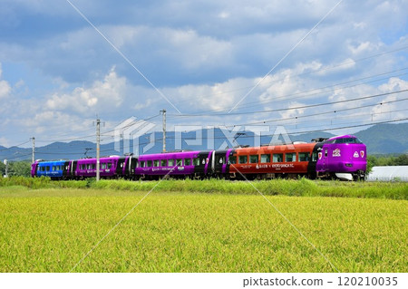 京都紫荾包裹，287系列特急列車穿越鄉村 120210035