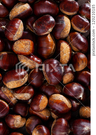 Closeup of edible chestnuts in large quantities as natural background 120210185