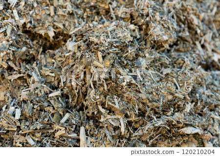 Closeup of organic mass of ensiled corn stalks and leaves Closeup of organic mass of ensiled corn stalks and leaves 120210204