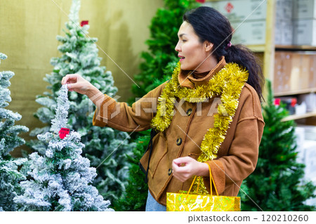 Woman choosing christmas tree 120210260