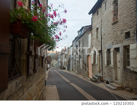 View of streets of the French town Bligny-sur-Ouche in France 120210303