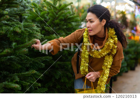 Portrait of asian woman buying Christmas tree at Christmas market 120210313