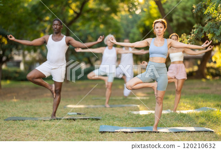 Multinational yoga enthusiasts with female coach perform vrikshasana in park 120210632