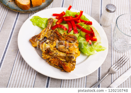 Roasted chicken pieces with salad of lettuce and bell pepper 120210748