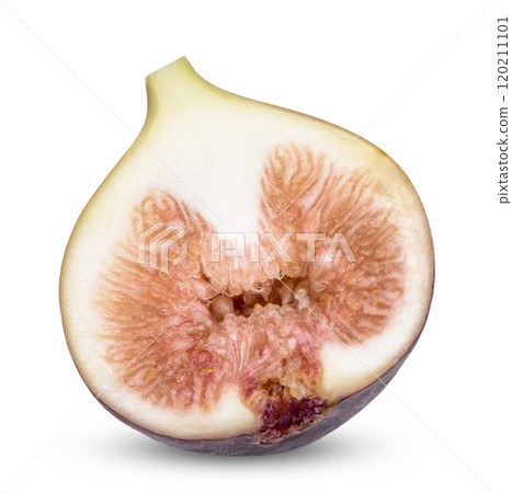 Fresh common fig (Ficus carica) isolated on white background Fresh common fig (Ficus carica) isolated on white background 120211101