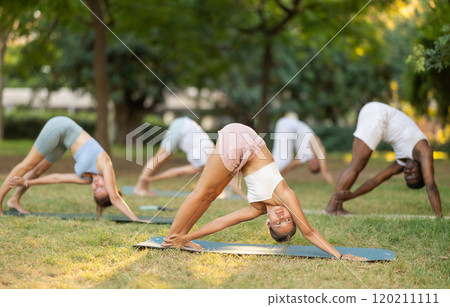 Girl performing Revolved Downward Dog Pose during group yoga in park 120211111