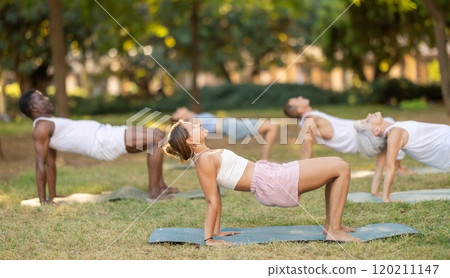 Multinational yoga enthusiasts with female coach perform katuspadapidham in park 120211147