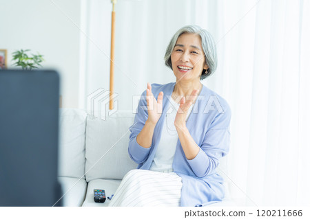 Senior woman watching TV in the living room Senior woman watching TV in the living room 120211666