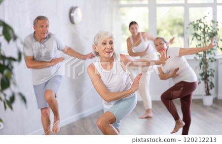 Group of mature sports women and man in activewear exercising dynamic dancing movemens in modern gym studio Group of mature sports women and man in activewear exercising dynamic dancing movemens in modern gym studio 120212213