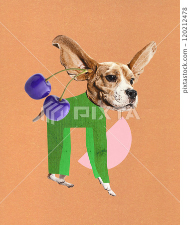 Contemporary art collage. Dog with large ears, dressed in green pants, holding two cherries, on peach-colored background with pink circle. 120212478