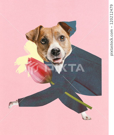 Contemporary art collage. Brown dog in suit holding red tulip against pink background with yellow brushstroke. Contemporary art collage. Brown dog in suit holding red tulip against pink background with yellow brushstroke. 120212479