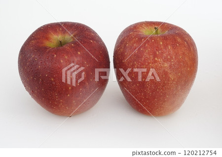 Apple Akiboshi from Ishikawa Prefecture Apple Akiboshi from Ishikawa Prefecture 120212754