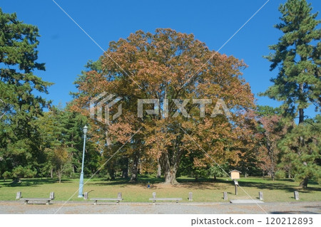 Tsuchimikado Residence Remains Tsuchimikado Residence Remains 120212893