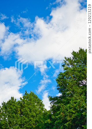 Landscape of blue sky and white clouds 120213219