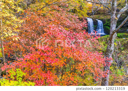 [Fujiyoshida City, Yamanashi Prefecture] Kaneyama Falls surrounded by autumn leaves 120213319