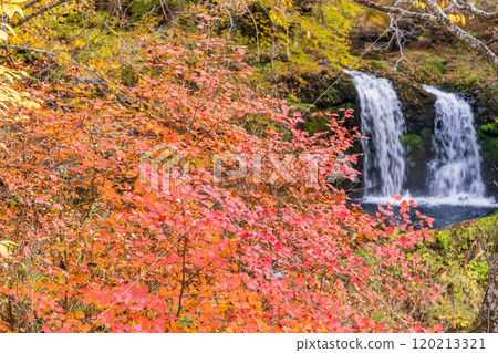 [山梨縣富士吉田市] 被紅葉包圍的金山瀑布 120213321