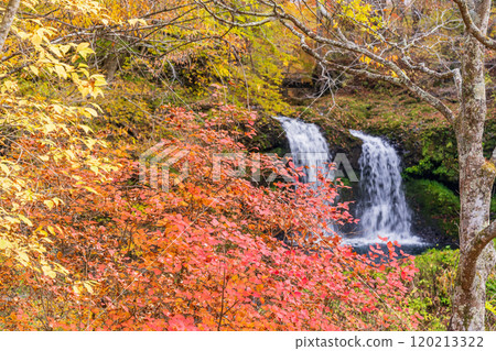 [Fujiyoshida City, Yamanashi Prefecture] Kaneyama Falls surrounded by autumn leaves 120213322