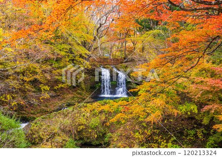 [Fujiyoshida City, Yamanashi Prefecture] Kaneyama Falls surrounded by autumn leaves 120213324