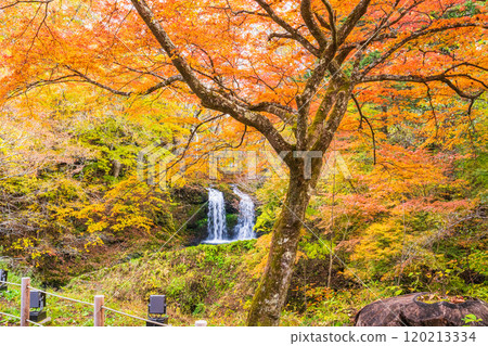 [山梨縣富士吉田市] 被紅葉包圍的金山瀑布 120213334